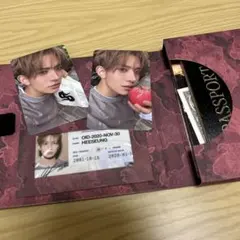 THE SIN:VANISH FUGITIVES 封入トレカコンプ（ヒスン）