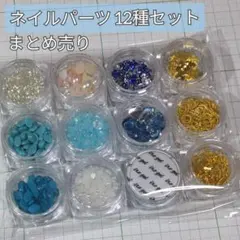 ネイルパーツ 封入素材 レジン封入 デコ パーツ 12種類 まとめ売り