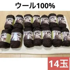 ROOTS/ジェームズディーンルーツ毛糸 14玉/ウール100%毛糸/ブラウン