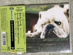 2025年最新】dinosaur jr ポスターの人気アイテム - メルカリ