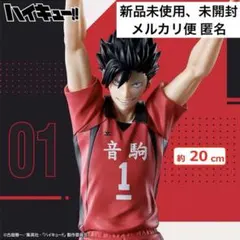 ハイキュー　ポージングフィギュア 黒尾鉄朗 クロオ ゴミ捨て場の決戦 ゴ決