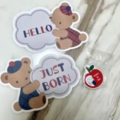 Item thumbnail for item 62455318-6ccc-4324-a241-2282482af49d