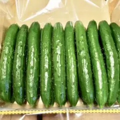 高知県産朝採りキュウリ、即購入OKのサムネイル