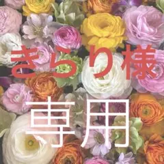 きらり様 リクエスト 2点 まとめ商品