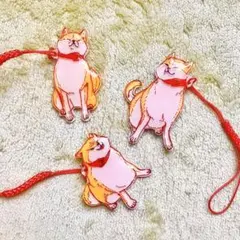 ぷっくり拒否柴キーホルダー 前いやがり 柴犬