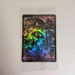 CNPトレカ　レイキ（青) パラレル　P-RR トレジャーハント　リーリー ローダー付】CNPトレカ リーリー 青レイキ パラレル CNPトレカ レイキ