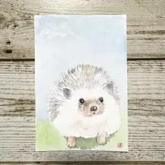 原画 水彩画 ハリネズミ サボテン ポストカード 手描きイラスト