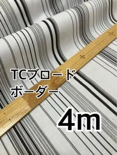 4m TCブロード ボーダー　モノトーン　ハギレ　生地