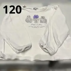 エニィファム　長袖カットソー　120