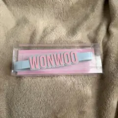 2025年最新】seventeen ペンライト アクセサリーの人気アイテム - メルカリ