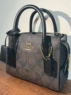 COACH レザーハンドバッグ ブラウン/ブラック 美品 コーチ