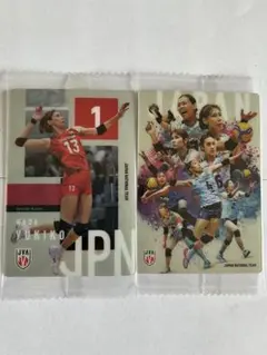 バレーボール 日本代表 和田由紀子 集合　カード 2枚セット