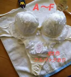 新品　ピュアフェミニンフラワーブラジャーショーツセットTバック　ホワイト　上下