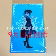 hololive 東京駅　限定　アクリルスタンド　星街すいせい　ホロライブ　東京