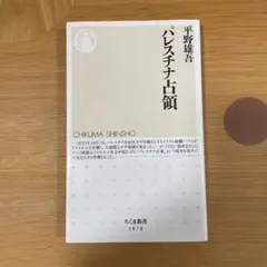 パレスチナ占領