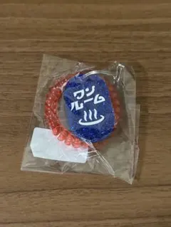 e*】様 ワンルームくじ 100人限定 サウナキー - メルカリ