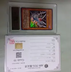 ARS10遊戯王カード Sin 青眼の白龍
