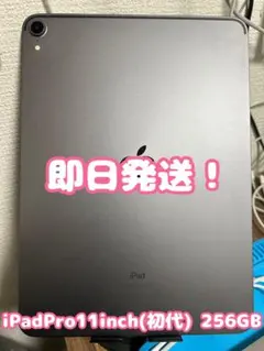 【ジャンク】 iPad pro11インチ 第1世代 256GB セルラーモデル 当日発送可iPad Pro 11インチ 第1世代 Wi-Fiモデル 256GB 画面割れ
