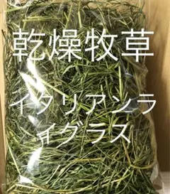 Item thumbnail for item dbf987be-fa48-484e-b50a-bb7c821b662a