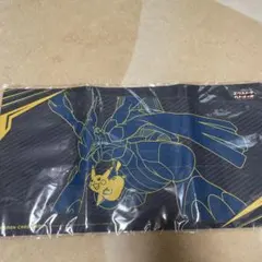 ポケカ　エクバの日　プレイマット　非売品　ケース付き ポケカ エクバの日 プレイマット 非売品 ケース付き - メルカリ