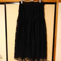 【Audie a muses】総レース フラワー刺繍 ロングスカート 黒 42のサムネイル