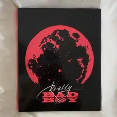 Red Velvet レッドベルベット　レドベル　トレカ　収納　irene