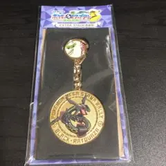 JR東日本　ポケモンスタンプラリー2025 黒いレックウザ　スペシャルメダル