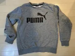 Item thumbnail for item 5afd869b-ddfd-404a-8556-2d47d1960976