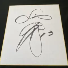 ヤクルトスワローズ 中村悠平選手 直筆サイン色紙 - メルカリ