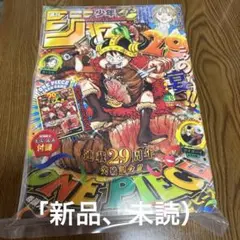 週刊少年ジャンプ 33号 7月27日号 連載29周年記念