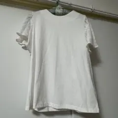 Item thumbnail for item 7a9ca6f0-0608-4651-b407-6e69dbd0a59b