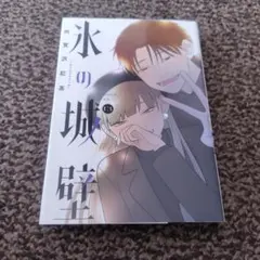氷の城壁 13巻