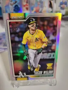 Item thumbnail for item 3c9205a5-d609-4559-b6b7-2c2ddcf183b1