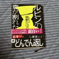 ルビンの壺が割れた 宿野かほる 小説