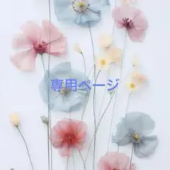 ★ジュリジュリ★プロフ必読★様　専用