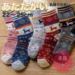 【５足セット】靴下 ソックス 暖かい レディース 極暖 あたたかい g1090