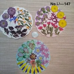 押し花素材　✳️ 3シート 小花 盛り合わせ *↟⍋*↟ 【約100枚以上】⑨