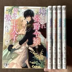 かしこまりました、デスティニー 上下巻、answer 上下巻 全巻セット