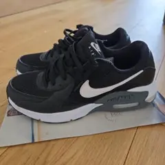 ガッキー様専用　NIKE　スニーカー
