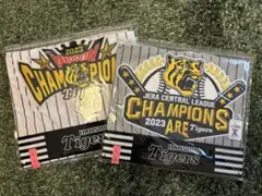 Item thumbnail for item 5b5d71bd-f664-4e26-8fda-5c2a0cd76158