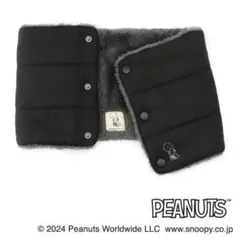 Item thumbnail for item f196cf7c-207d-42de-b52b-08f3726c7eb4