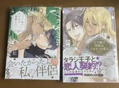 BL新刊　王子様の伴侶はニセモノの恋人