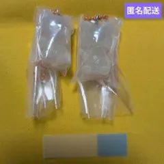 【未開封新品】SKZOO グミ＆チャーム チャームのみ ジニレット①