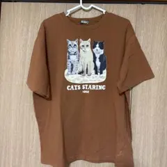 CATS STARING プリント Tシャツ ブラウン 半袖 kutirのサムネイル
