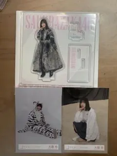 櫻坂46 大園玲 まとめ売り