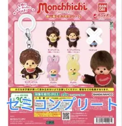 目印しアクセサリーモンチッチ5つセット