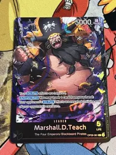 MTG 英語版　厳格なガード、ルールー チョコボ バンドル MTG 英語版 厳格なガード ルールー チョコボ バンドル チョコボ