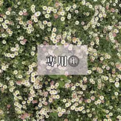 【あいうえお様専用】 ふんわりワンピース