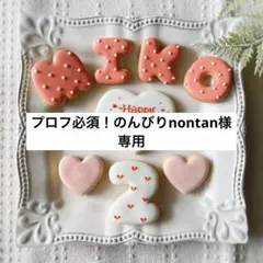 《のんびりnontan様専用アイシングクッキー》誕生日HappyBirthday