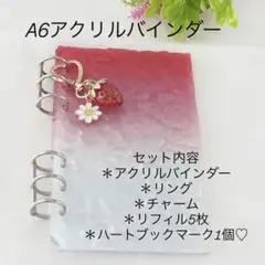 アクリルバインダー♡水流模様A6韓国バインダー貯金savingいちごRED